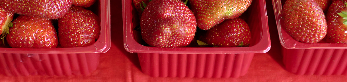 Finser packaging - packaging solutions - imballaggio ortofrutta